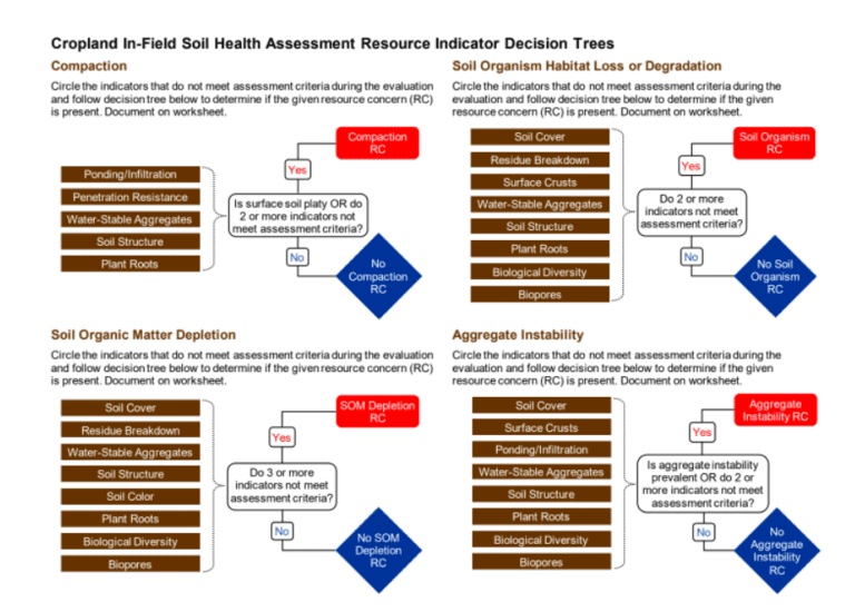 Field Indicators Worksheet Session 2: Resources for Observing, Monitoring & Increasing ...