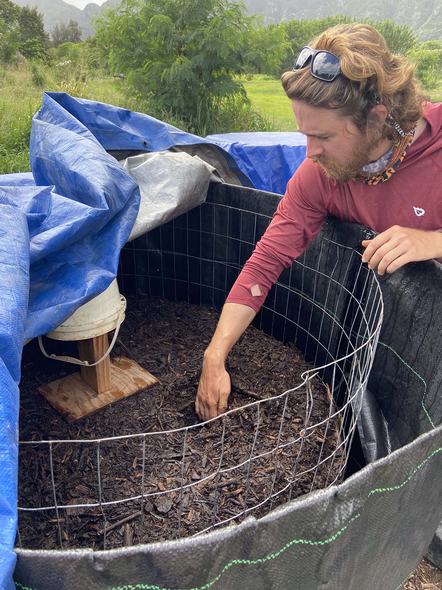 Matt digging in one of Ahiki’s on-site composting piles.