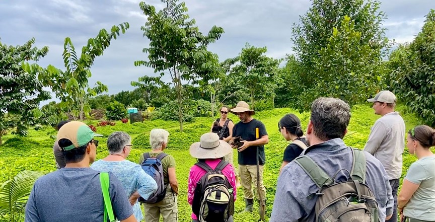 Farm owners and operators, Joe Hewitt and Kea Keolanui, demonstrate the successful establishment of perennial peanut in their Moraceael varietal trial orchard. Joe is pictured sharing some of the field observations he makes of the improved soil properties attributed to the perennial ground cover to fellow farmers participating in the soil health cohort on Hawai’i Island.