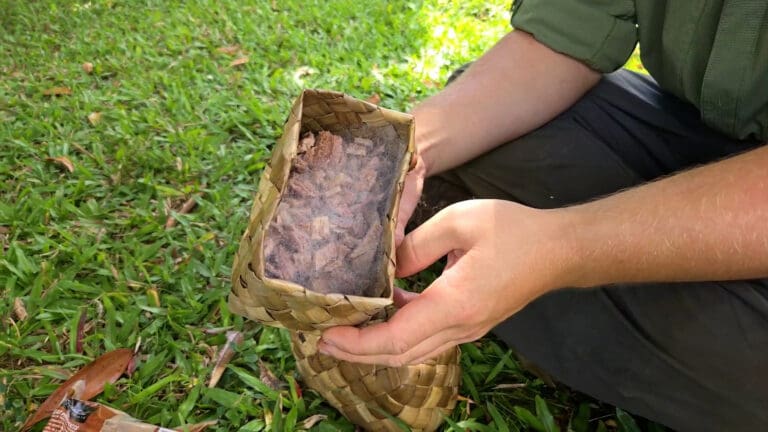 Using Natural Farming Methods to Fertilize and Manage Crop Pests with OK Farms